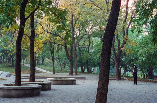 Nutrition : succès d'un repas rééquilibré avec 5 types d'aliments